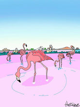 Cargar imagen en el visor de la galería, REGIÓN DE MURCIA - SAN PEDRO DEL PINATAR - SALINAS Y FLAMENCOS - LA ILUSTRATIVA