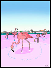 Cargar imagen en el visor de la galería, MURCIA - SAN PEDRO DEL PINATAR - SALINAS Y FLAMENCOS